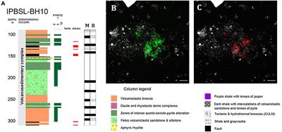 Visualizing Microorganism-Mineral Interaction in the Iberian Pyrite Belt Subsurface: The Acidovorax Case